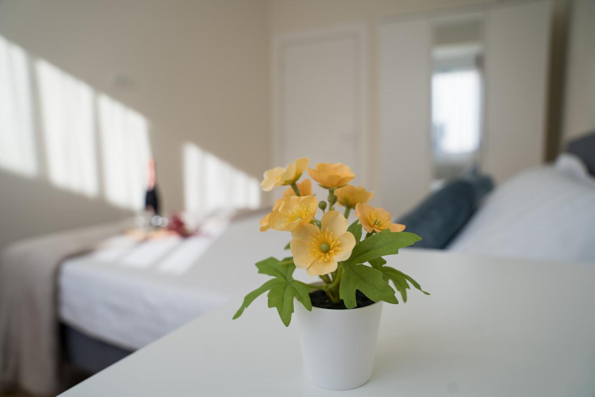 Azaleea Apartments Bucureşti Eksteriør bilde
